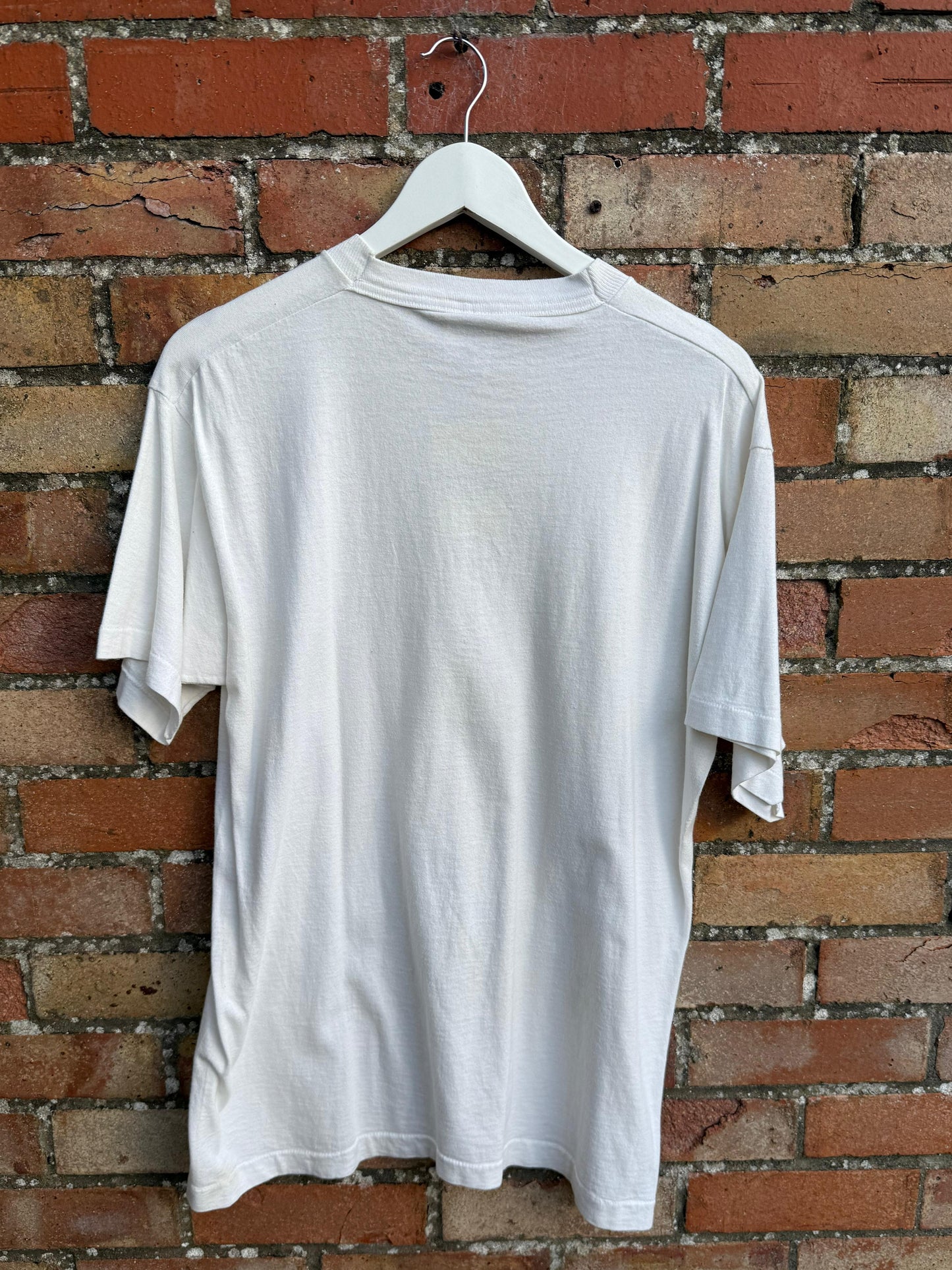 NBA Boston Celtics Championship Caricatures Team with Names Celebrating Celtic Pride (1990s)