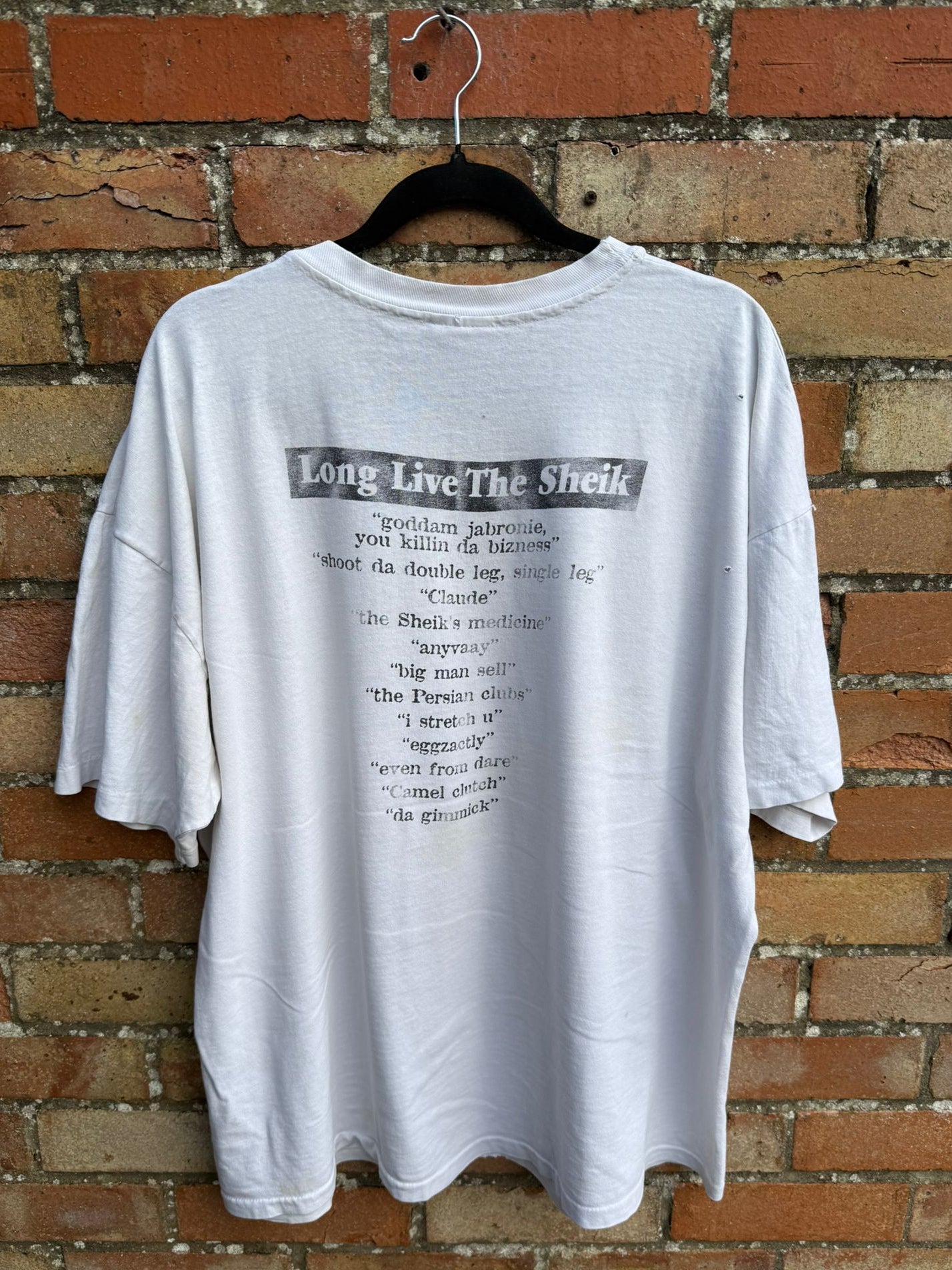 Back view of white Long Live The Sheik T-shirt hanging against a brick wall