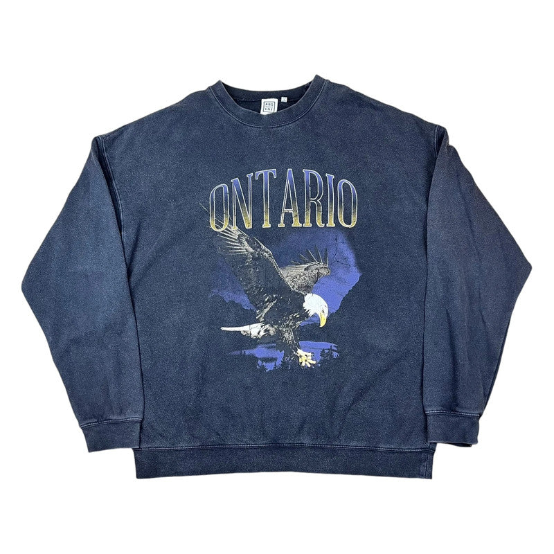 Souvenir Ontario Canada Bald Eagle in-flight Sweatshirt