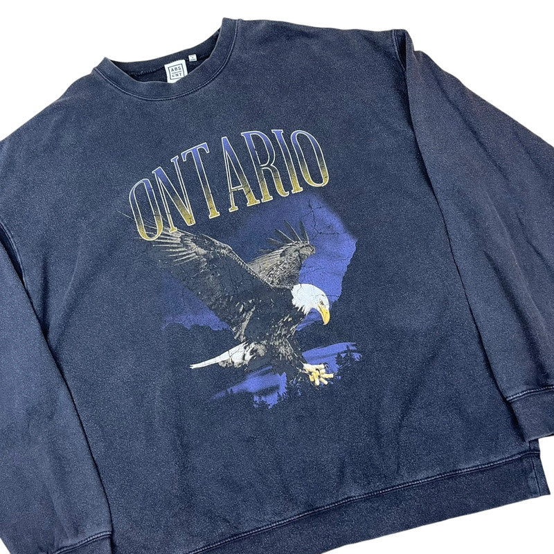 Souvenir Ontario Canada Bald Eagle in-flight Sweatshirt