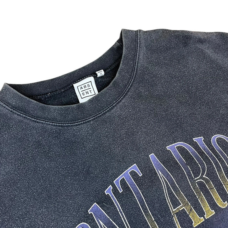 Souvenir Ontario Canada Bald Eagle in-flight Sweatshirt