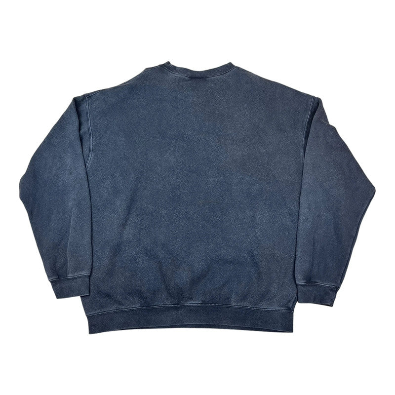Souvenir Ontario Canada Bald Eagle in-flight Sweatshirt