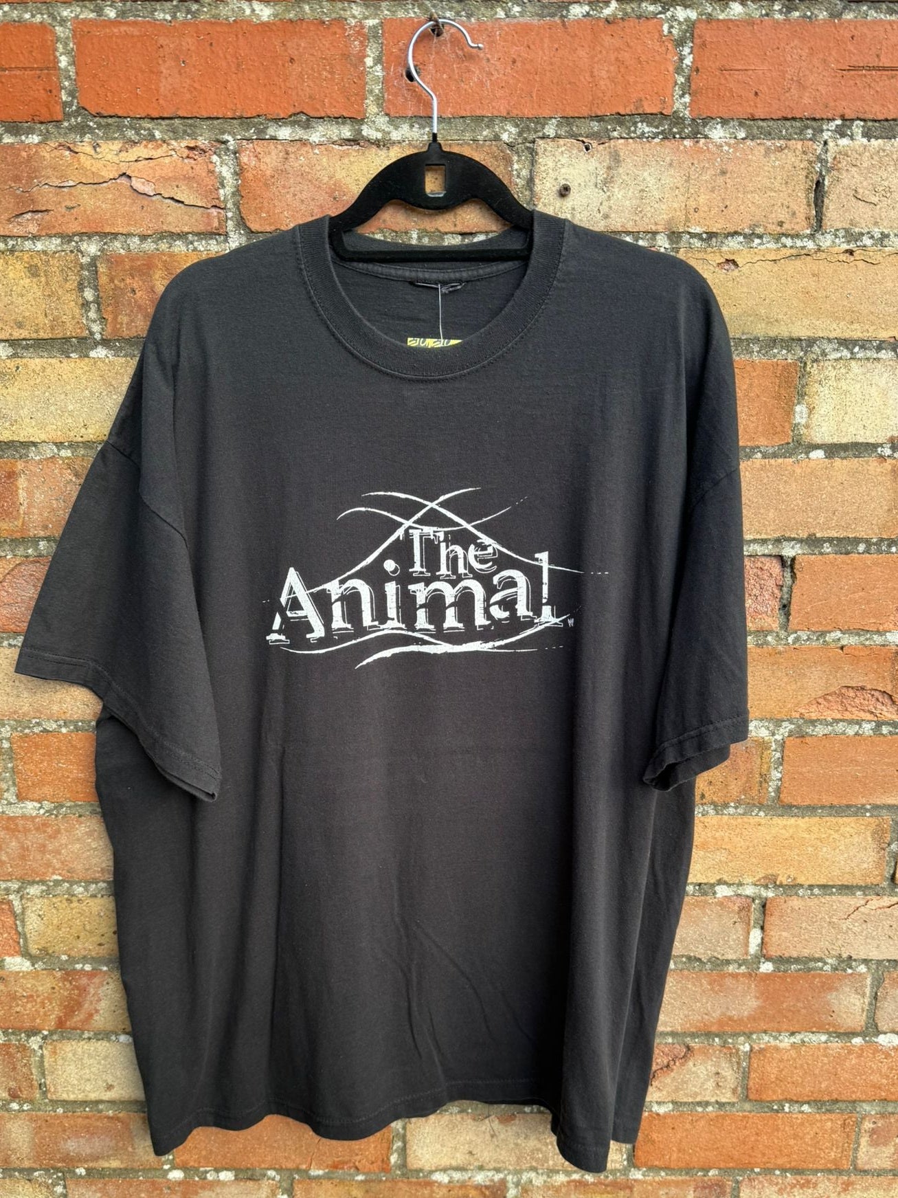 Black t-shirt with 'The Animal' text on a hanger against a brick wall.